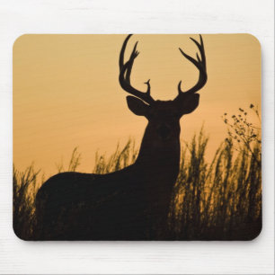 Weißwedelhirsch Odocoileus virginianus) Mousepad