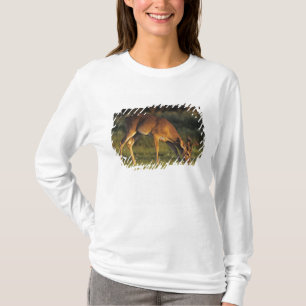 Weißwedelhirsch, Odocoileus virginianus T-Shirt