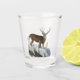 Weißwedelhirsch Schnapsglas