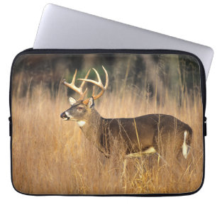 Weißwedelhirsch Smoky Mountains Tennessee Laptopschutzhülle