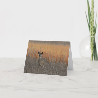 Weißweih-Hirsch-Notecard Dankeskarte