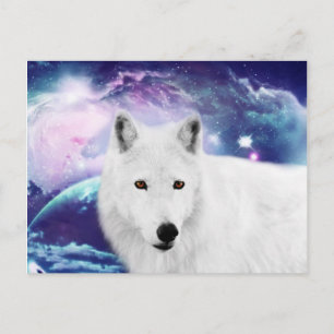 Weißwolf Postkarte