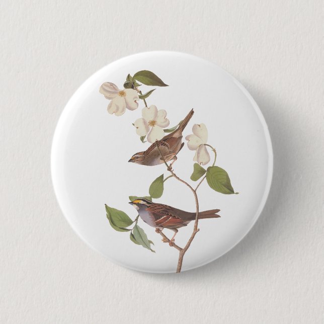 Weißwurzelammer Audubon-Vogel in Dogwood Button (Vorderseite)