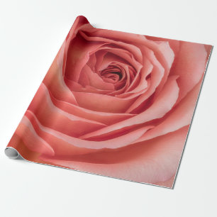 weit geöffnete orange-pinke Rosenblüten-Innenherz- Geschenkpapier