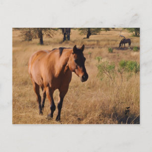 weitergehen ankündigungspostkarte