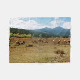 Weitwinkel-Vlies-Decke Fleecedecke