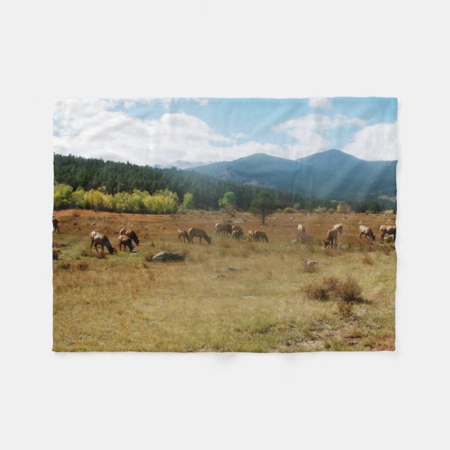 Weitwinkel-Vlies-Decke Fleecedecke (Vorderseite (Horizontal))