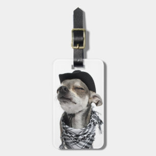 Weitwinkel von Chihuahua mit seinem mustert Gepäckanhänger