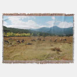 Weitwinkeldecke des Elches Decke