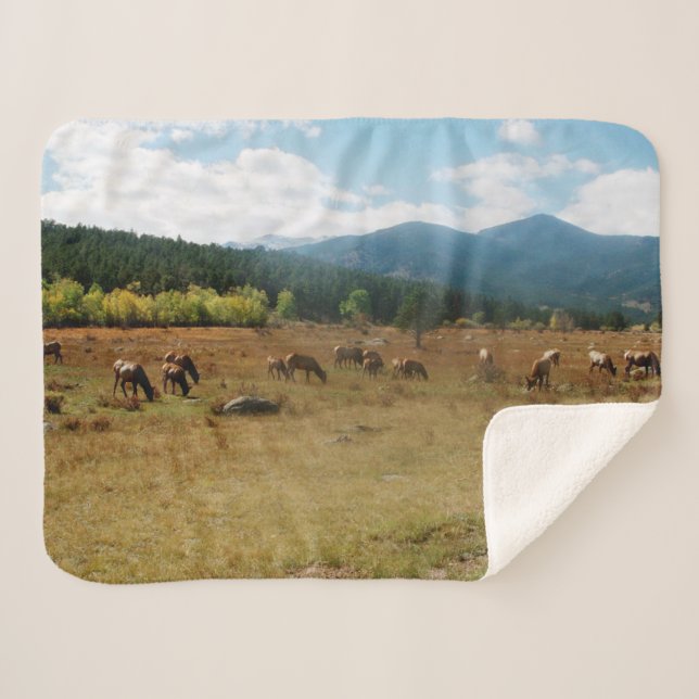 Weitwinkeldecke Sherpadecke (Vorderseite (Horizontal))