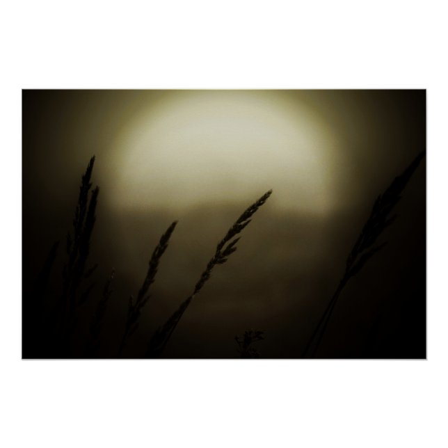 Weizen bei Sonnenuntergang Poster (Vorderseite)