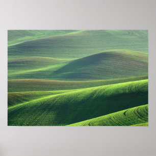 Weizen entspannen in den Hügeln des Palouse Poster