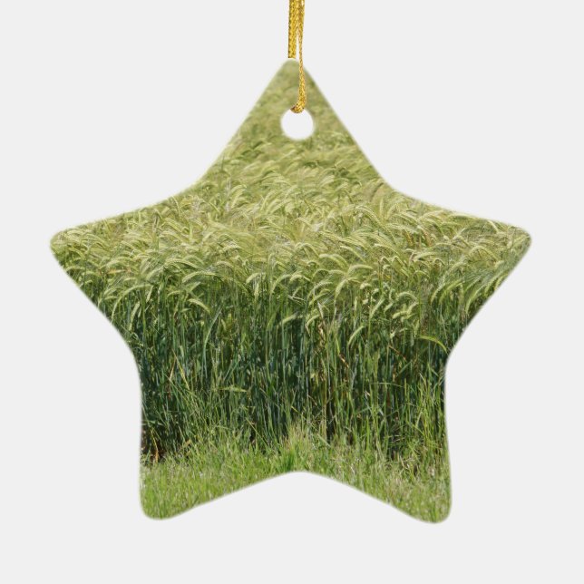 Weizen - Geschmackvoll! Keramikornament (Hinten)