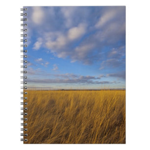 Weizen Gras und dramatische Himmel bei Freezeout L Notizblock
