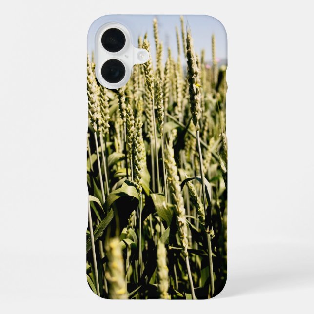 Weizen iPhone Hülle (Rückseite)