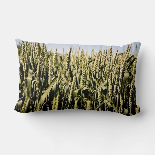 Weizen Lendenkissen (Rückseite)