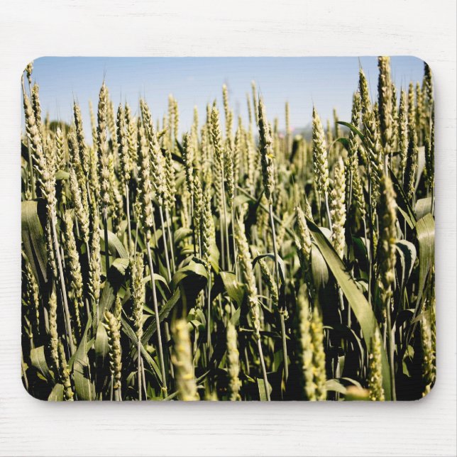 Weizen Mousepad (Vorne)
