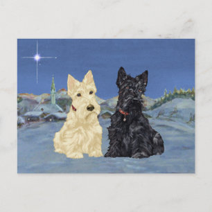 Weizenfarbene Black Scotties Weihnachten