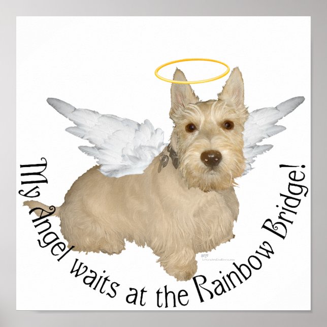 Weizenfarbene Scottish-Terrier-Engel Poster (Vorne)