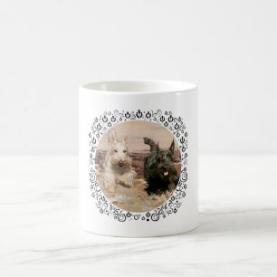 Weizenfarbene und schwarze Scotties laufen Tasse
