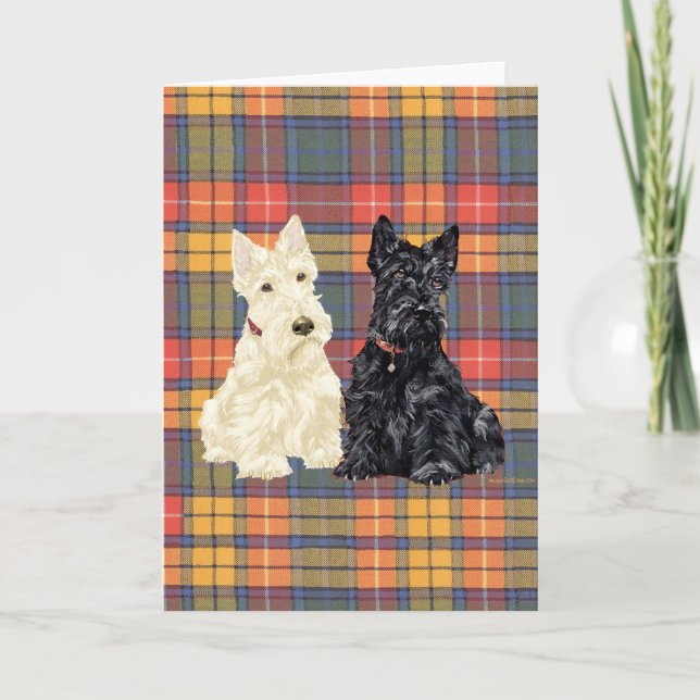 Weizenfarbene und schwarze Scottish Terriers Karte (Vorderseite)