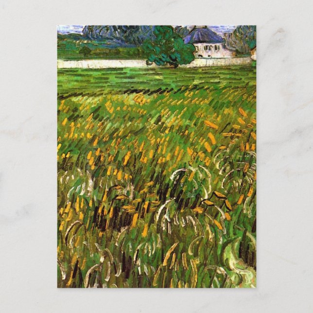 Weizenfeld bei Auvers von Vincent van Gogh Postkarte (Vorderseite)