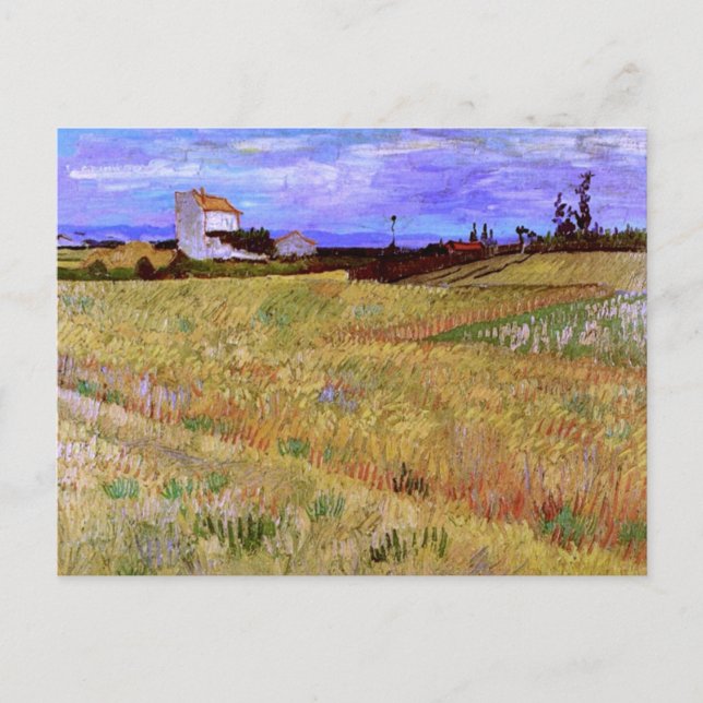 Weizenfeld (F564) Van Gogh Fine Art Postkarte (Vorderseite)