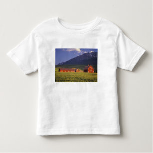 Weizenfeld im Wallowa Tal, gerade draußen Kleinkind T-shirt
