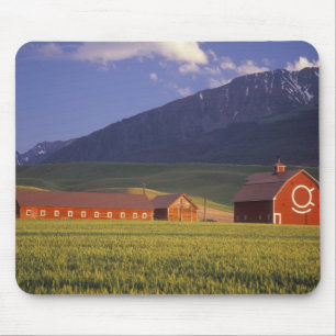 Weizenfeld im Wallowa-Tal, kurz außerhalb Mousepad