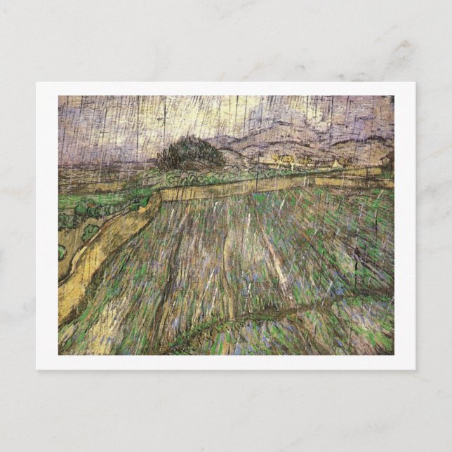 Weizenfeld in Regen (F650) Van Gogh Fine Art Postkarte (Vorderseite)