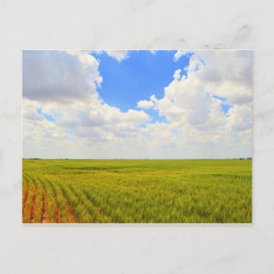 Weizenfeld in Scott Landkreis, Kansas Postkarte