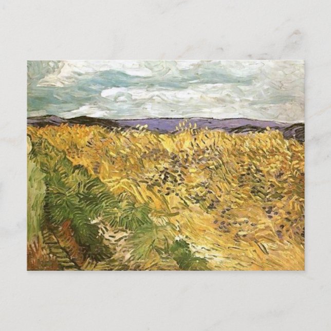 Weizenfeld mit Cornflowers Van Gogh Fine Art Postkarte (Vorderseite)