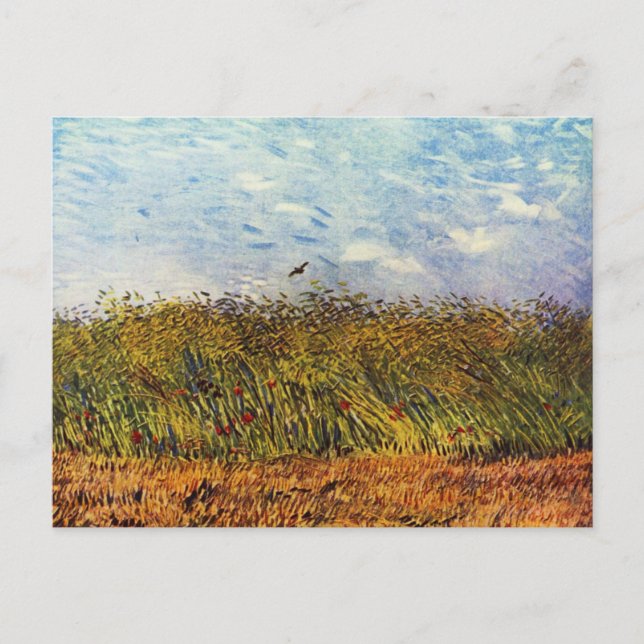 Weizenfeld mit einer Lerche Postkarte (Vorderseite)