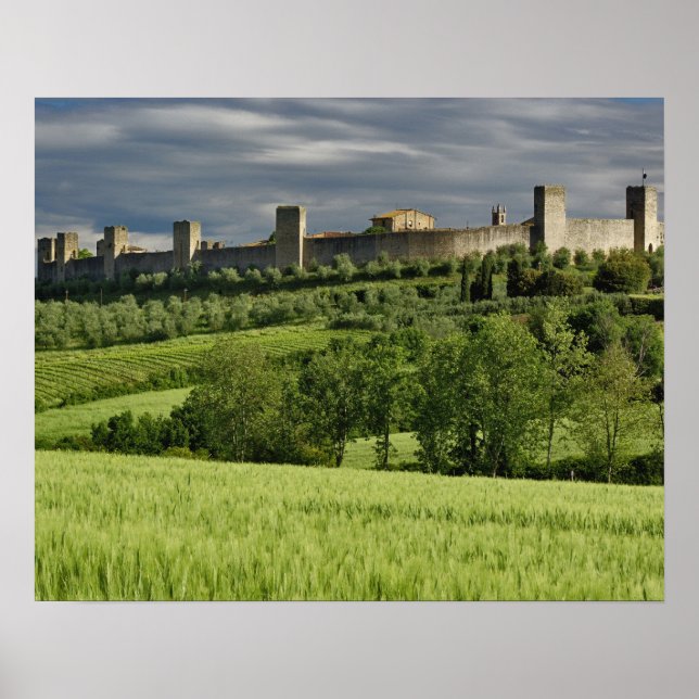 Weizenfeld und ferne Monteriggioni, im Poster (Vorne)