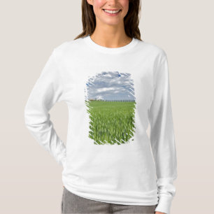 Weizenfeld und von majestätischen Zypressen gesäum T-Shirt