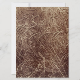 Weizenfeld (von Eugène Atget) Karte