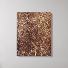 Weizenfeld (von Eugène Atget) Leinwanddruck