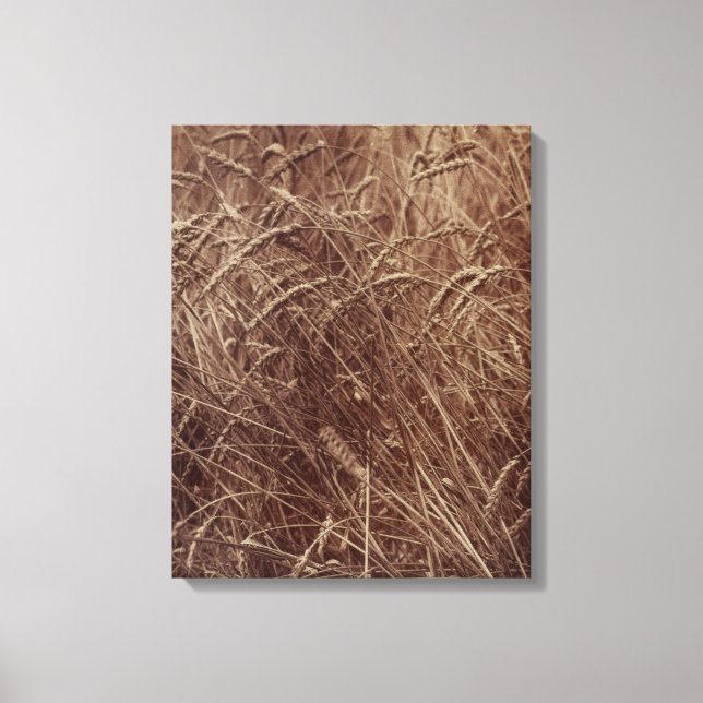 Weizenfeld (von Eugène Atget) Leinwanddruck (Vorderseite)