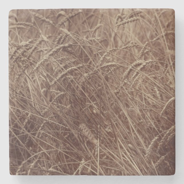Weizenfeld (von Eugène Atget) Steinuntersetzer (Vorderseite)