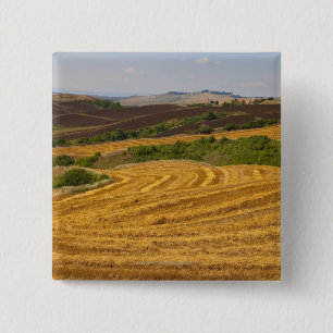 Weizenfelder nach Ernte Button