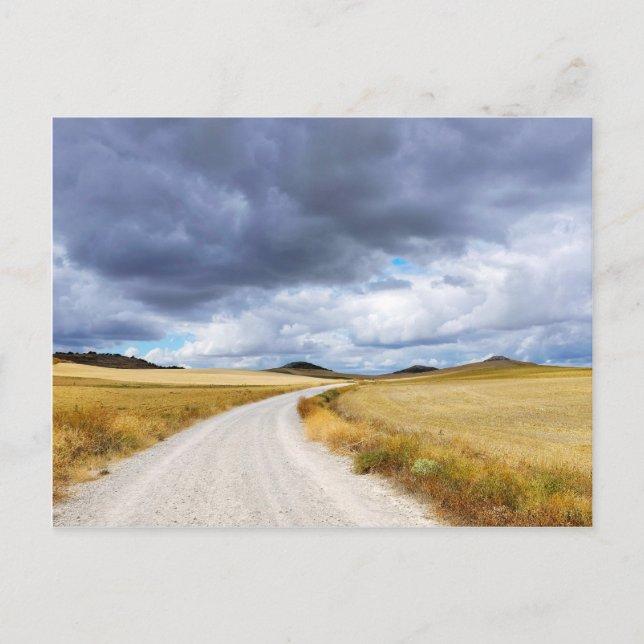 Weizenfelder Postkarte (Vorderseite)