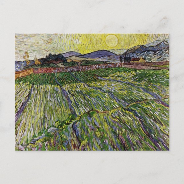 Weizenfelder von Van Gogh Postkarte (Vorderseite)