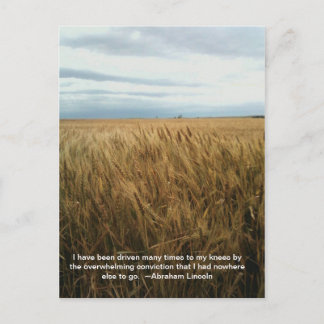 Weizenfeldgebet Postkarte