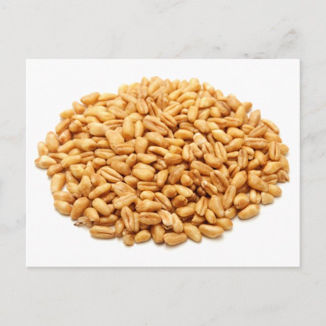 Weizenkörner, ganz postkarte (Vorderseite)