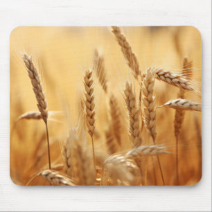 Weizensonne Ruhe Friedliche Natur Mousepad