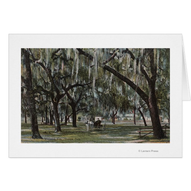 Welaka, FL - Aussicht auf Welaka Park & Mossy Tree (Vorderseite (Horizontal))