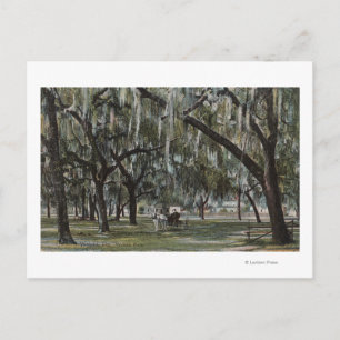 Welaka, FL - Aussicht auf Welaka Park & Mossy Tree Postkarte