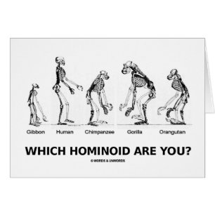 Welche Hominoid sind Sie? (Menschenskelette)