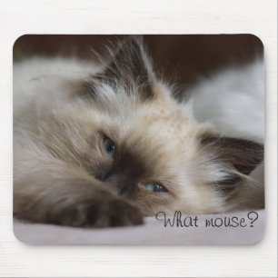 Welche Maus, Mausunterlage Mousepad
