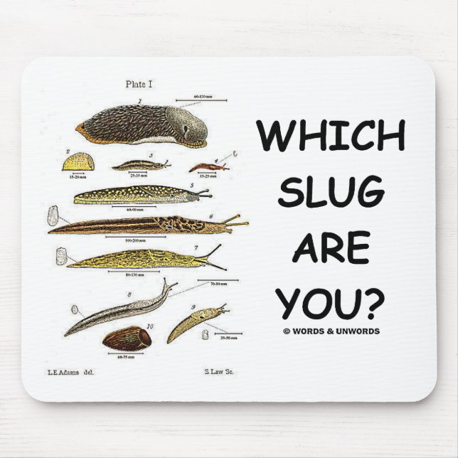 Welche Schnecke sind Sie? Mousepad (Vorne)